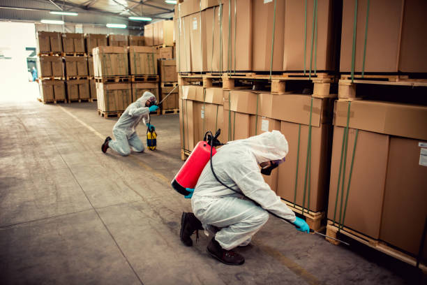 Best Flea Control Services  in Nth Bend, OR