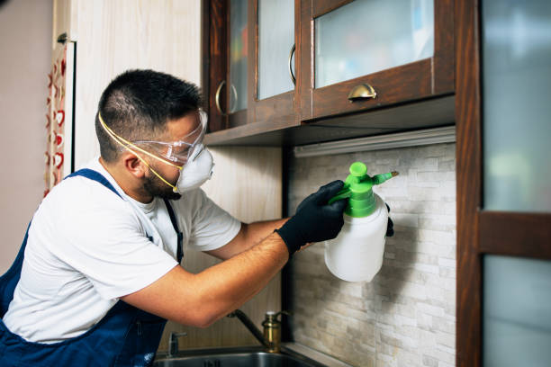 Best Wildlife Control Services  in Nth Bend, OR
