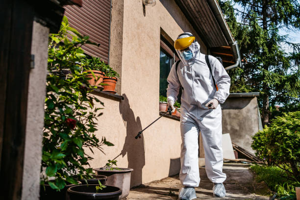 Best Local Pest Control Services  in Nth Bend, OR