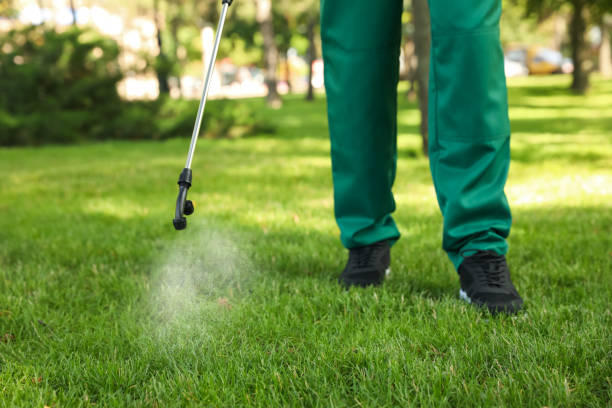 Best Pest Removal Services  in Nth Bend, OR