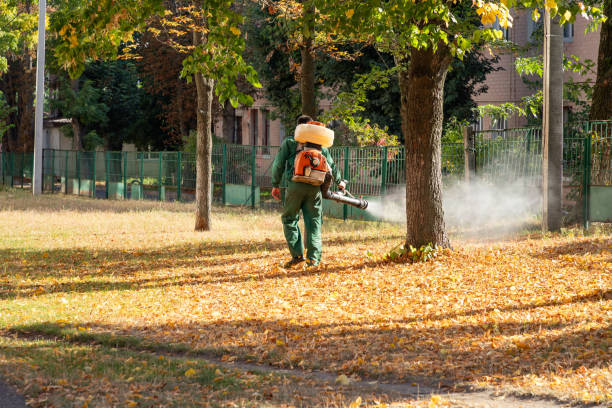 Best Pest Control Treatment  in Nth Bend, OR