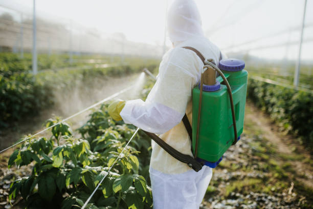  Nth Bend, OR Pest Control Pros